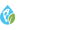 bassin amateur
